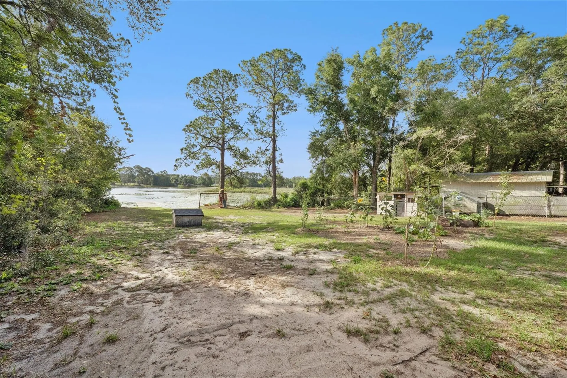 42146 Pine Valley Drive Paisley FL 32767