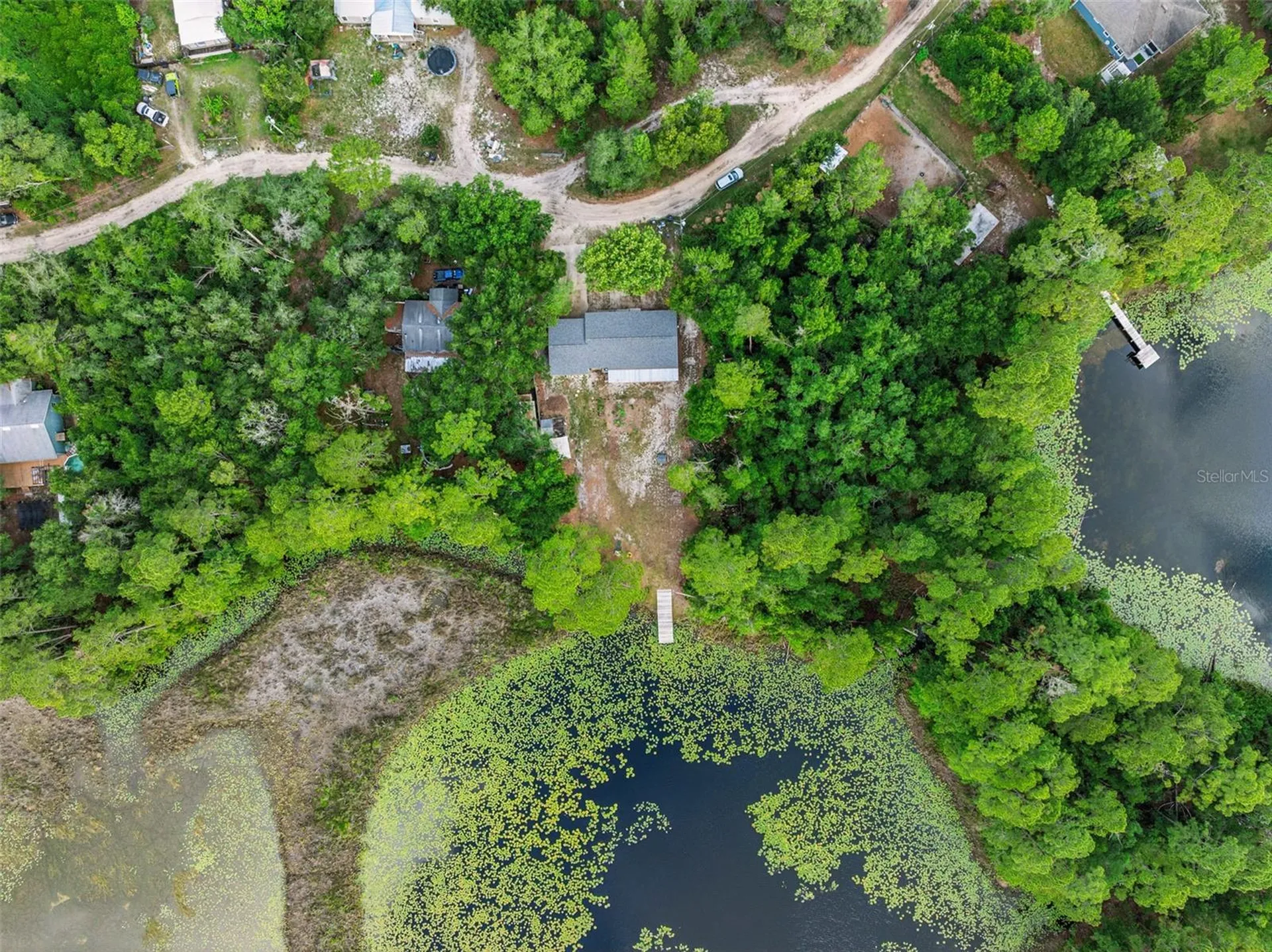 42146 Pine Valley Drive Paisley FL 32767