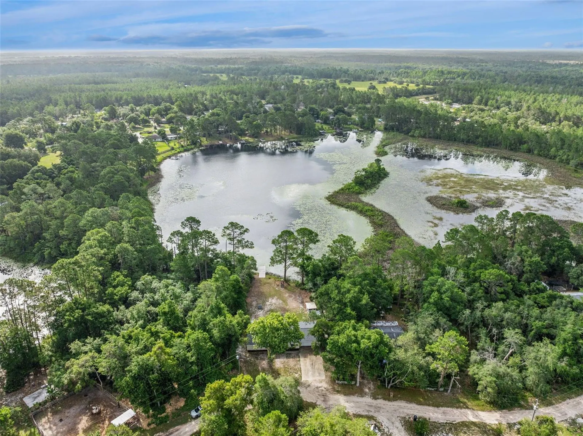 42146 Pine Valley Drive Paisley FL 32767