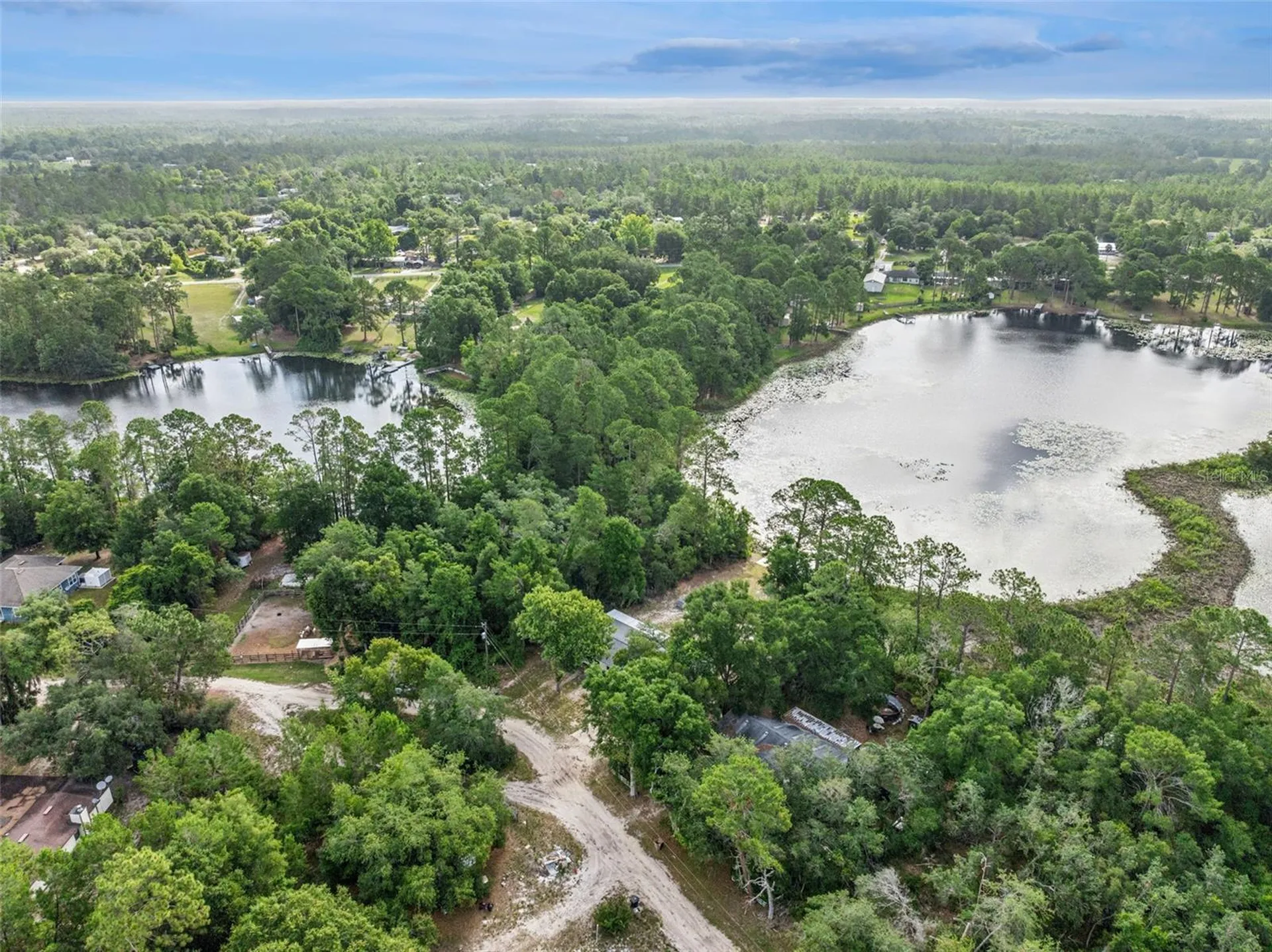 42146 Pine Valley Drive Paisley FL 32767