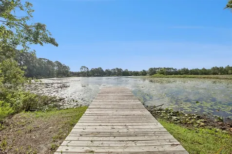 42146 Pine Valley Drive Paisley FL 32767