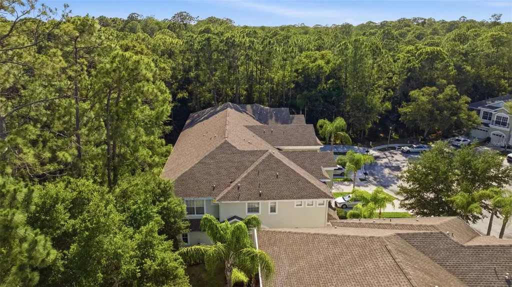14244 Waterville Circle Tampa FL 33626