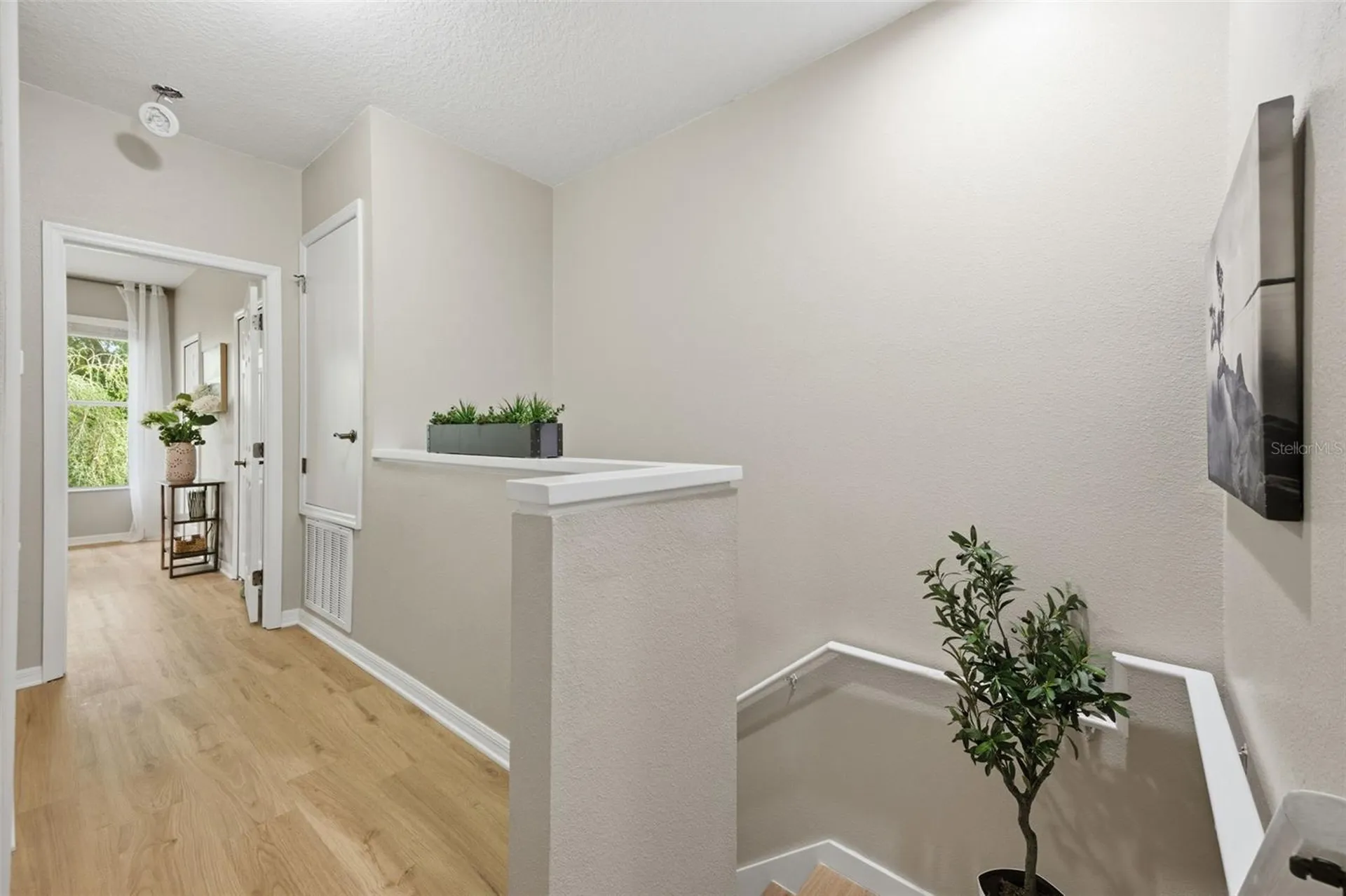 14244 Waterville Circle Tampa FL 33626