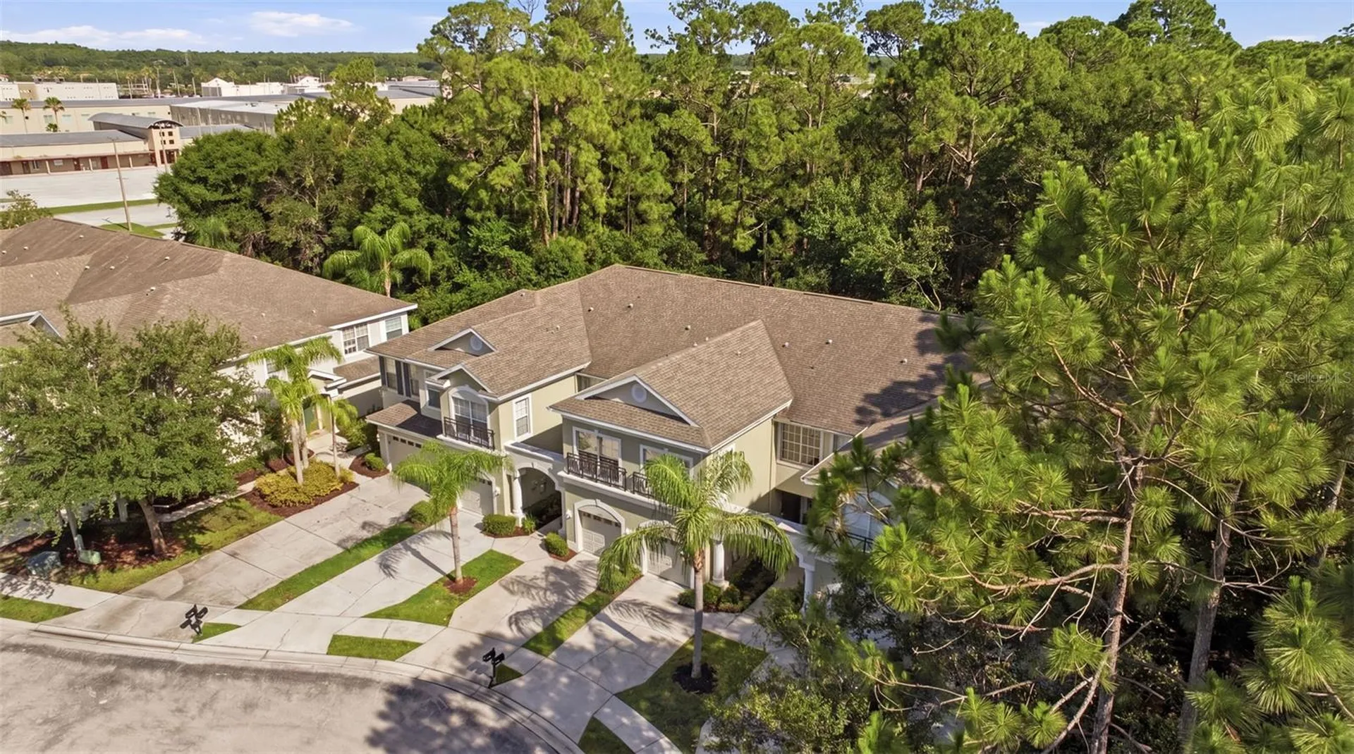 14244 Waterville Circle Tampa FL 33626