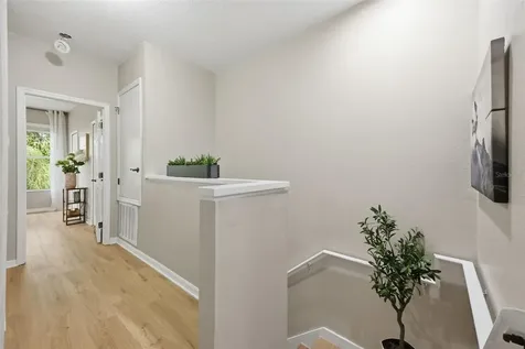 14244 Waterville Circle Tampa FL 33626