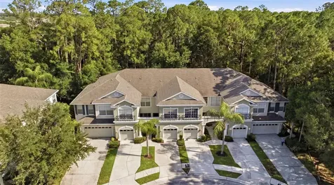 14244 Waterville Circle Tampa FL 33626