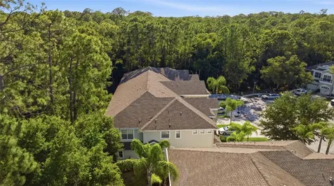 14244 Waterville Circle Tampa FL 33626