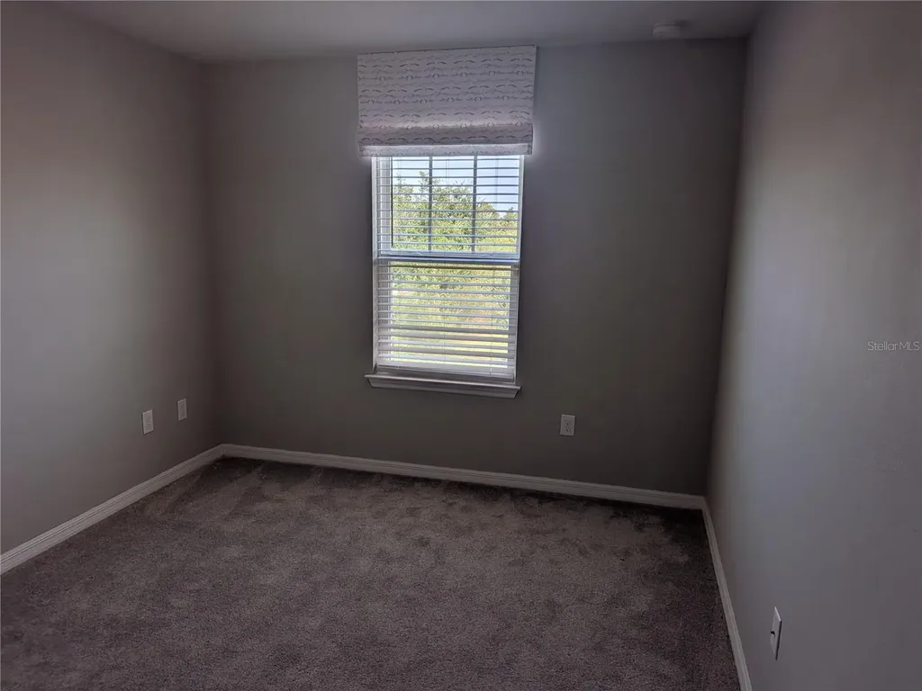 5320 Little Stream Lane Wesley Chapel FL 33545