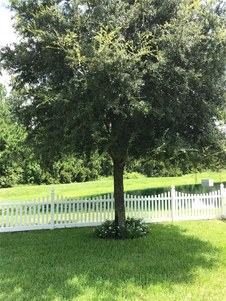 6110 Meriwether Crescent Winter Garden FL 34787