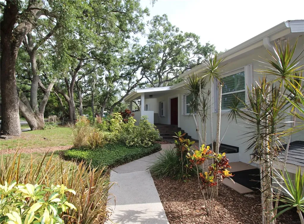 2436 Navarez Avenue Safety Harbor FL 34695