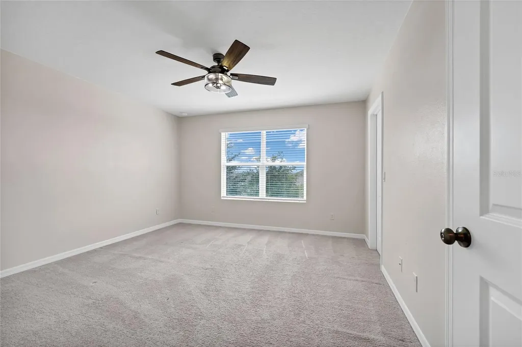 3800 Fescue Street Clermont FL 34714