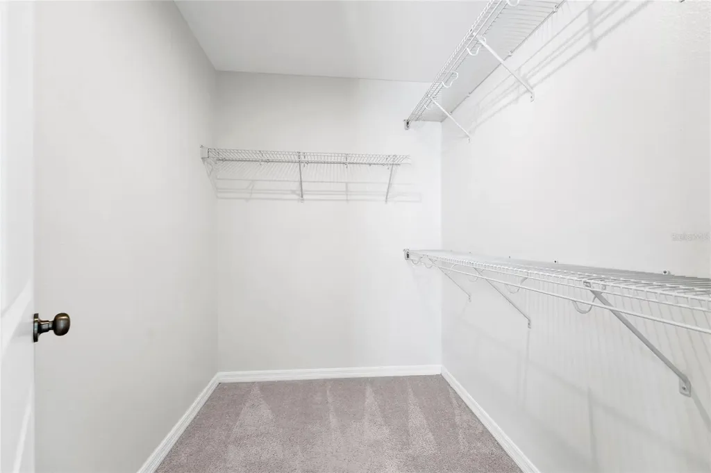 3800 Fescue Street Clermont FL 34714