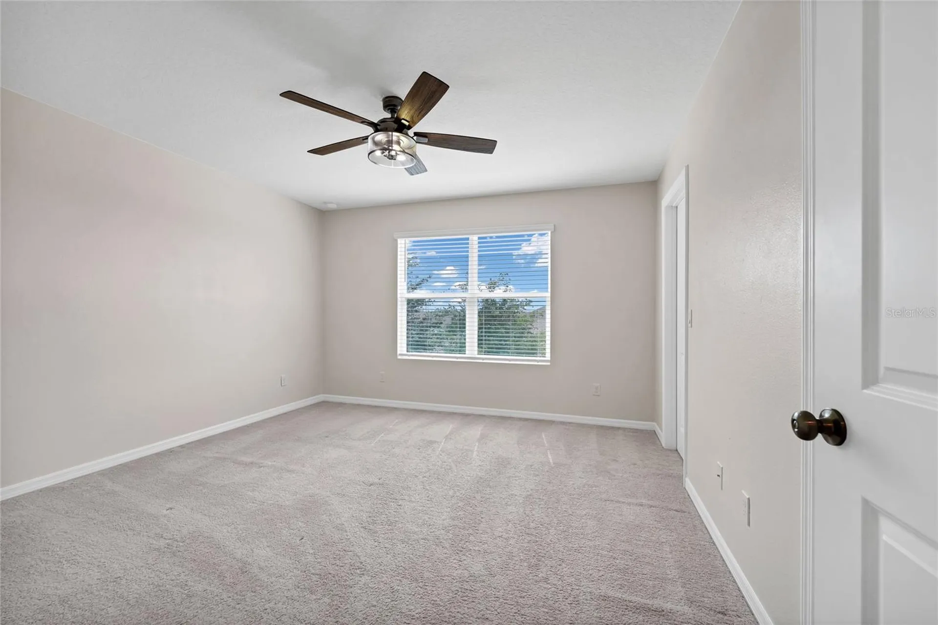 3800 Fescue Street Clermont FL 34714