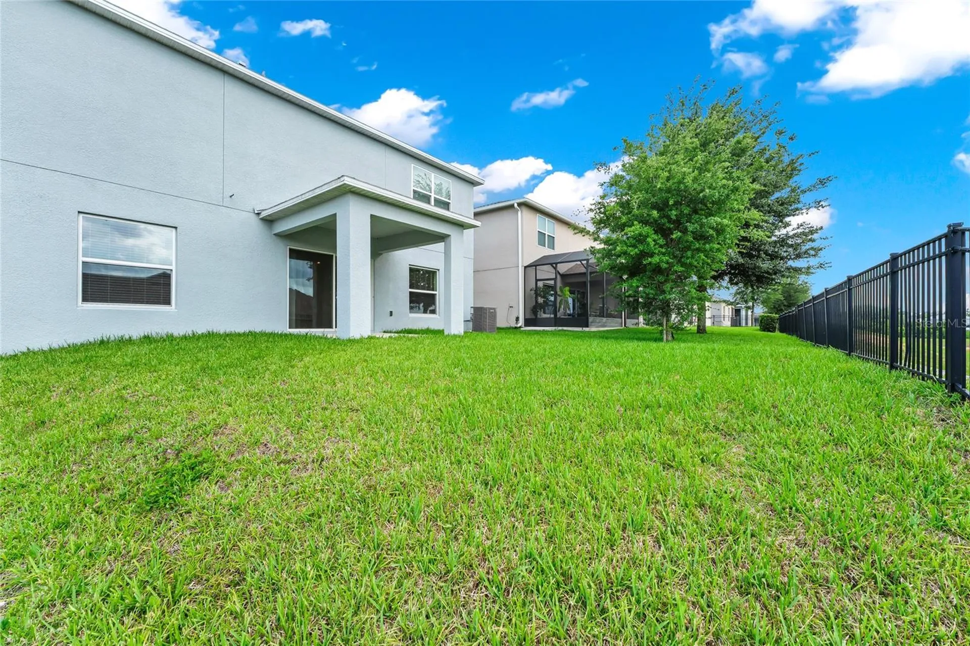 3800 Fescue Street Clermont FL 34714