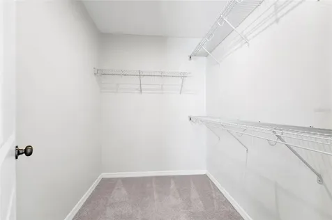 3800 Fescue Street Clermont FL 34714
