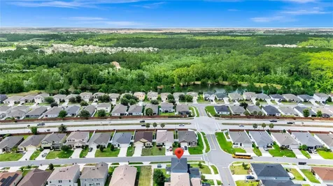 3800 Fescue Street Clermont FL 34714