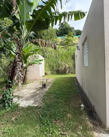 Bo Cerro Gordo Bo Cerro Gordo Bayamon PR 00956