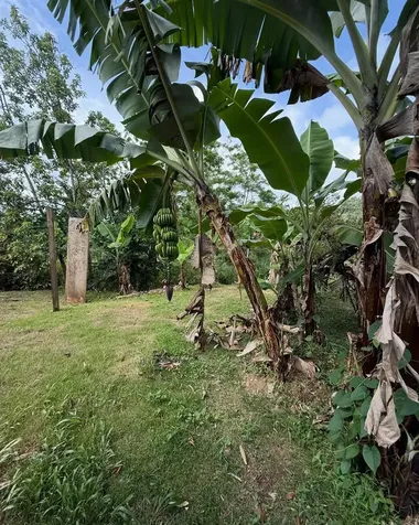Bo Cerro Gordo Bo Cerro Gordo Bayamon PR 00956