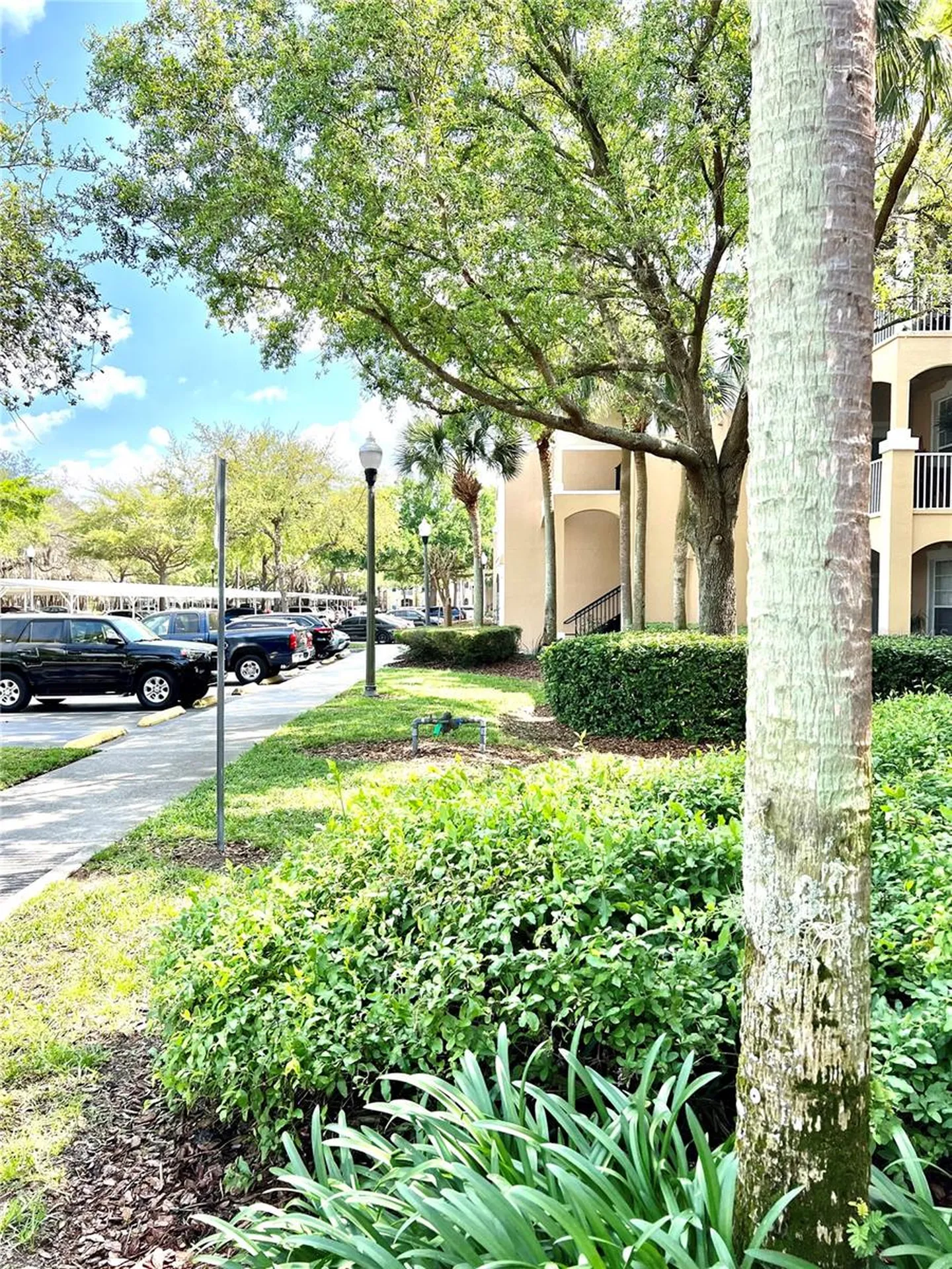 6214 Stevenson Drive Orlando FL 32835