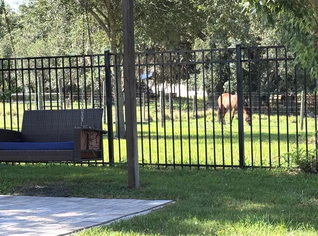 6416 Domenico Court Groveland FL 34736