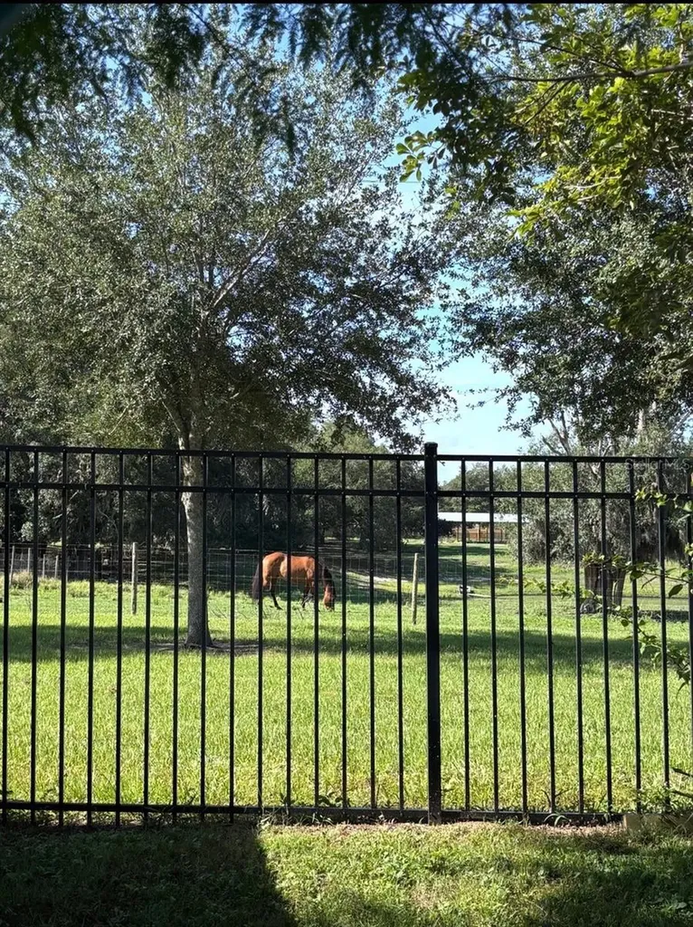 6416 Domenico Court Groveland FL 34736