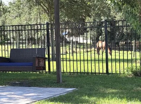 6416 Domenico Court Groveland FL 34736