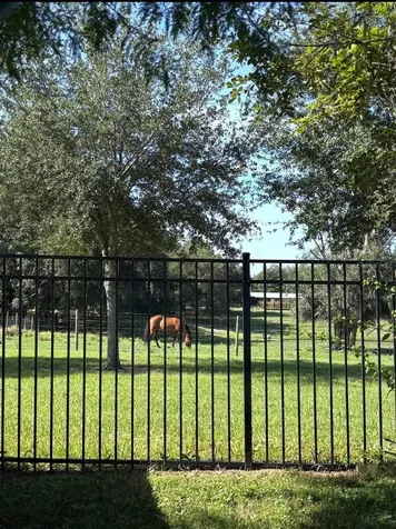 6416 Domenico Court Groveland FL 34736