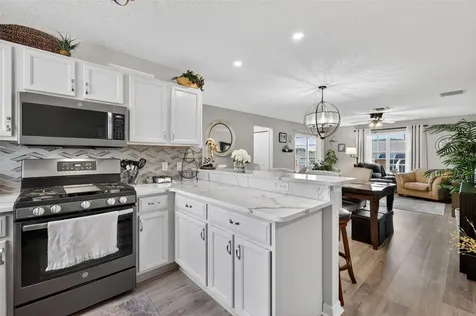 16919 SE 96th Chapelwood Circle The Villages FL 32162