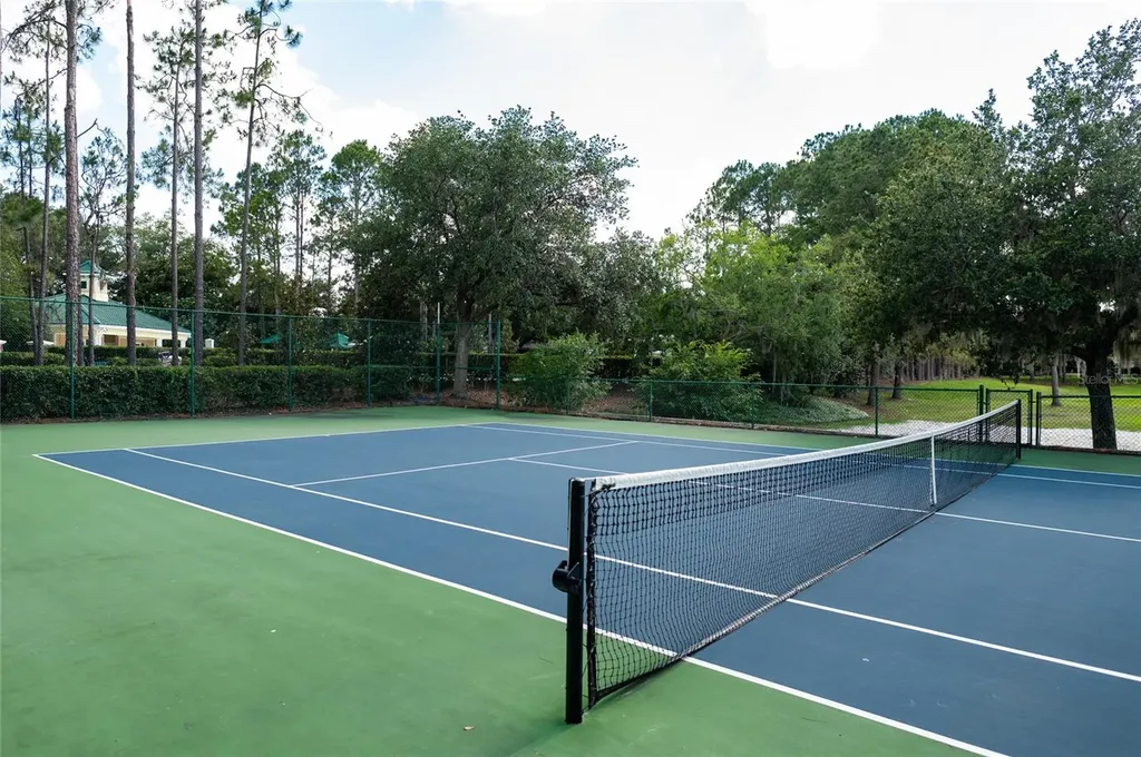 12633 Haddon Drive Windermere FL 34786