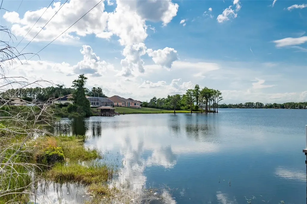 12633 Haddon Drive Windermere FL 34786