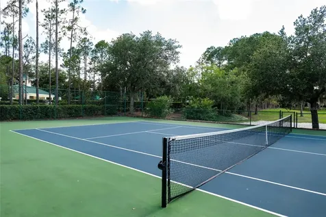 12633 Haddon Drive Windermere FL 34786
