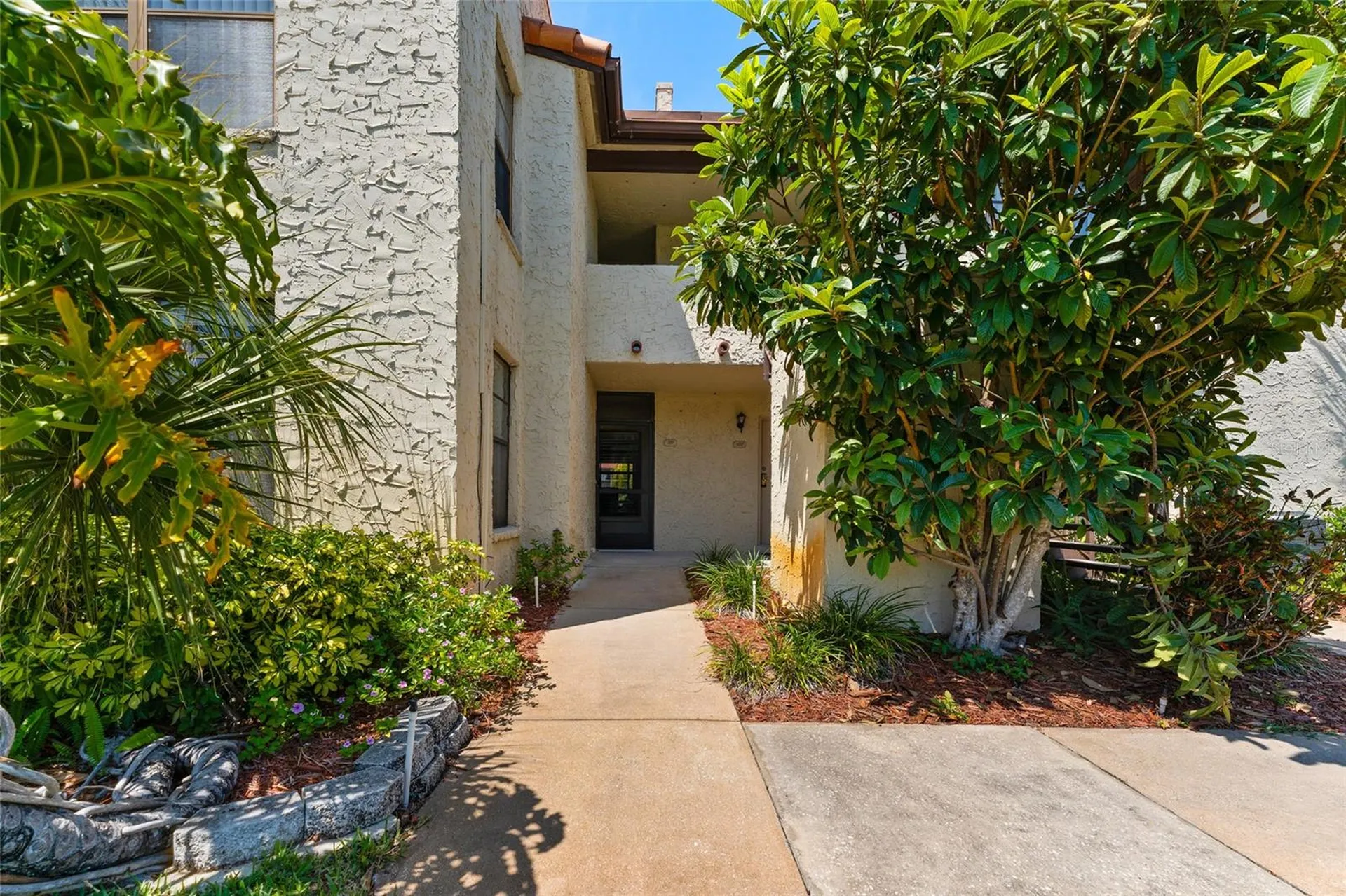 2571 Cyprus Drive Palm Harbor FL 34684