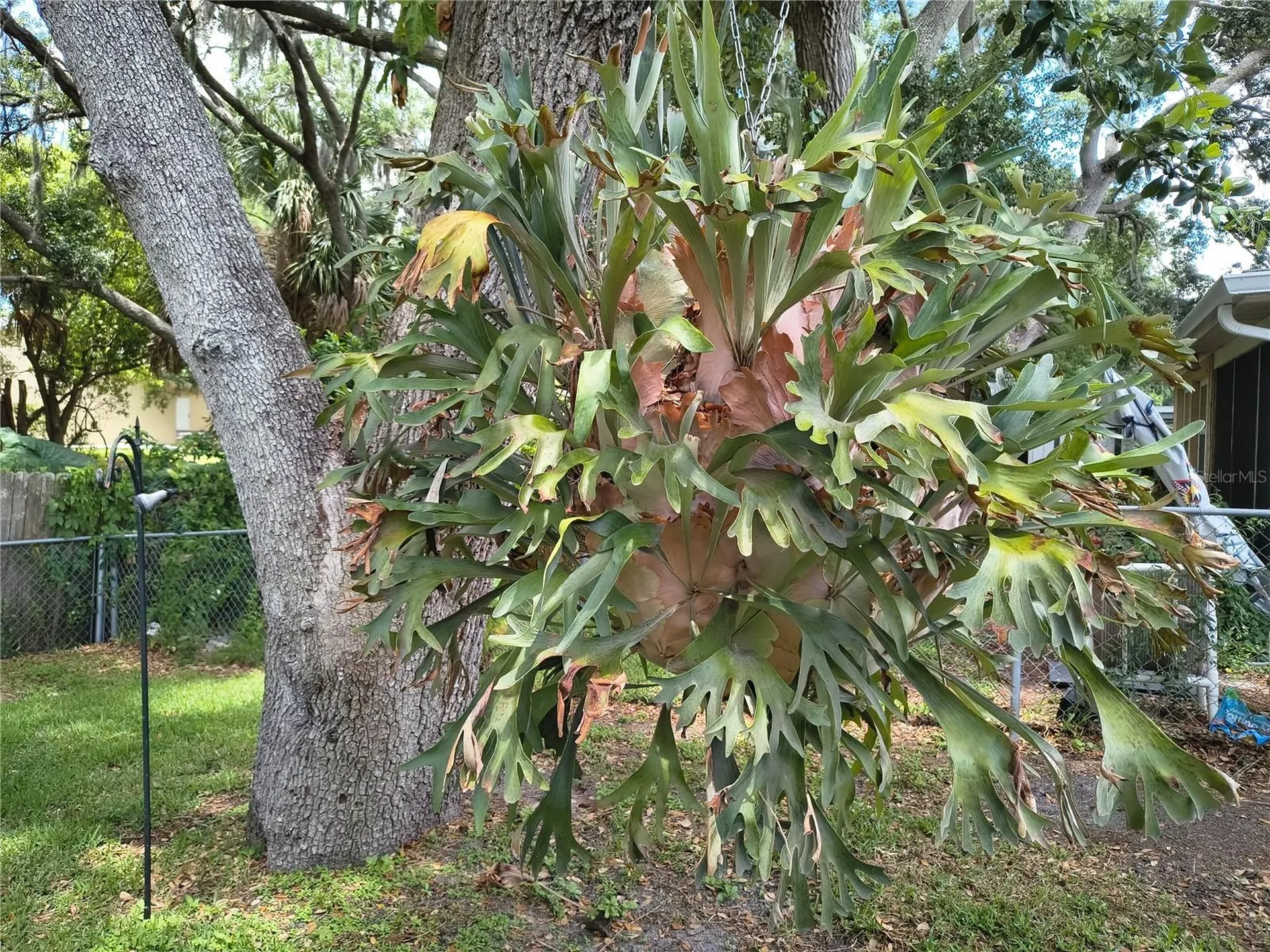 6627 Parkside Drive New Port Richey FL 34653