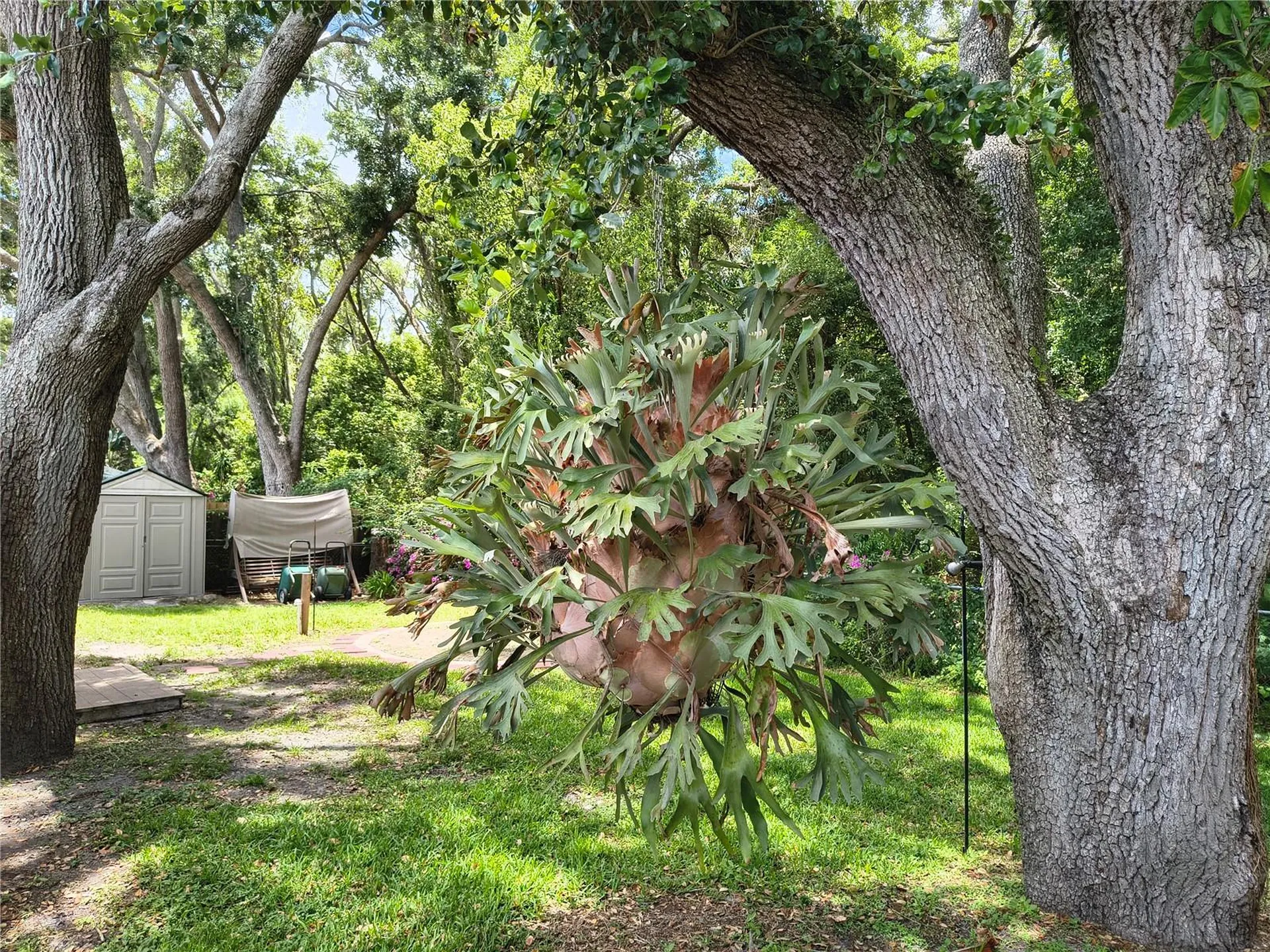 6627 Parkside Drive New Port Richey FL 34653