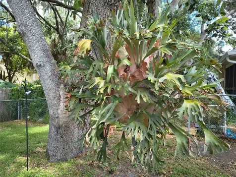 6627 Parkside Drive New Port Richey FL 34653