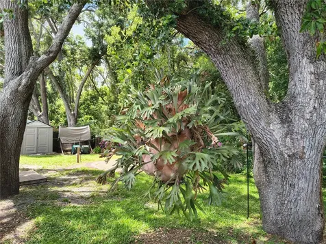 6627 Parkside Drive New Port Richey FL 34653