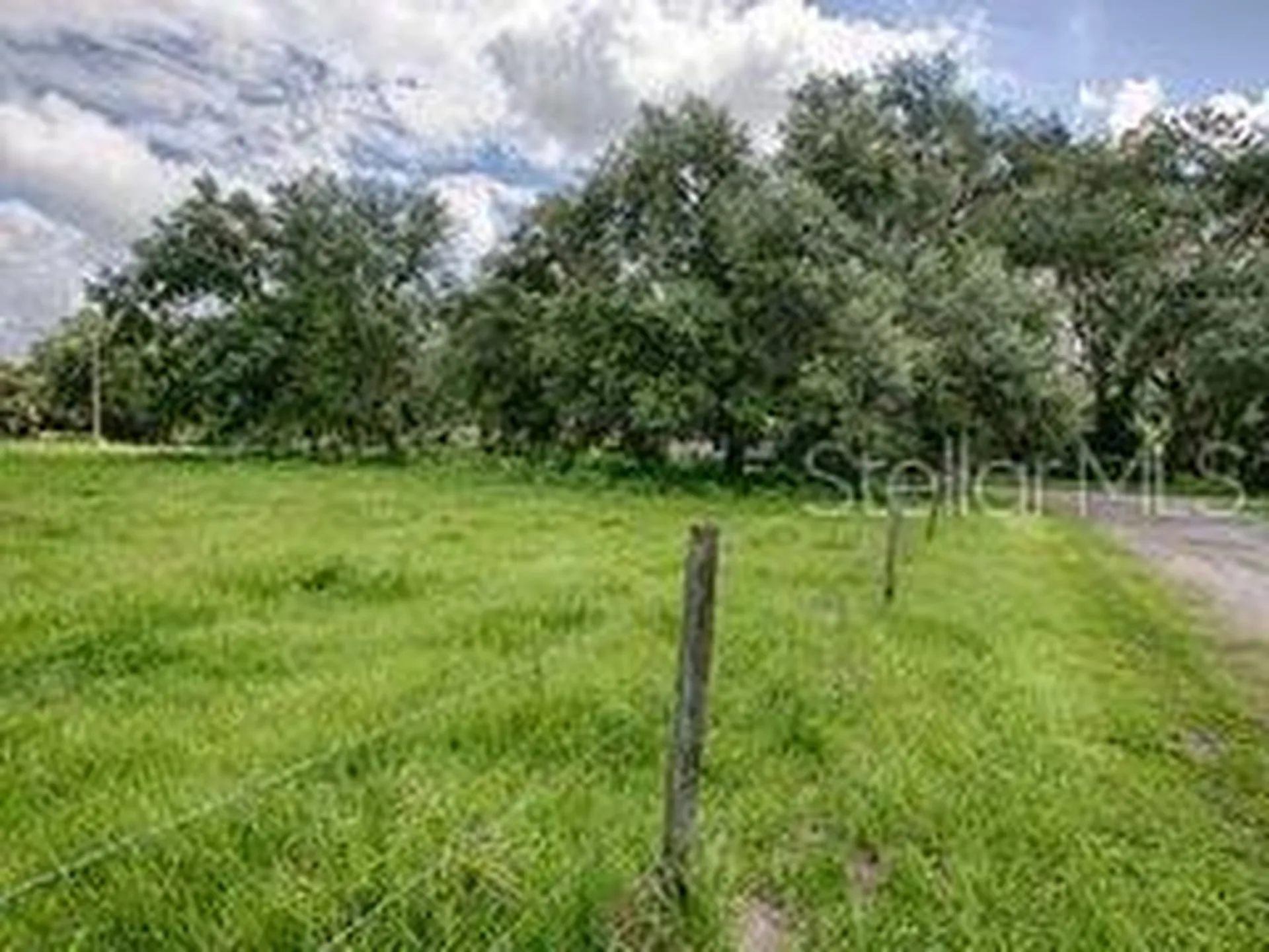 Cr 763 Bushnell FL 33513