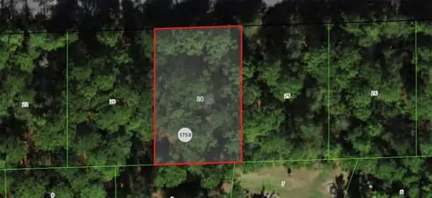 864 W Bannister Drive Citrus Springs FL 34434