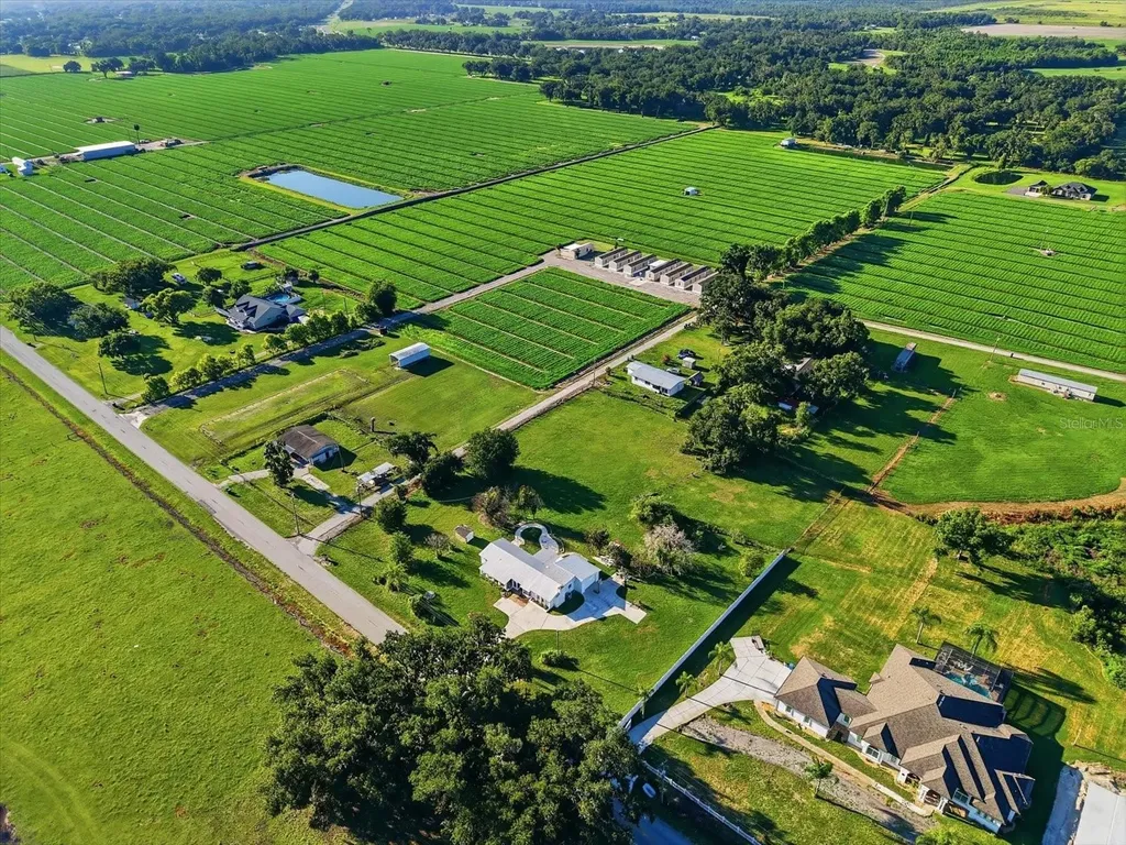 1113 Colson Road Plant City FL 33567