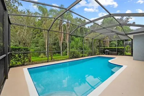 11721 Gothic Lane Tampa FL 33626