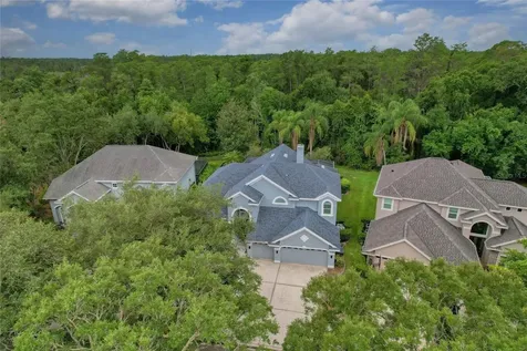 11721 Gothic Lane Tampa FL 33626