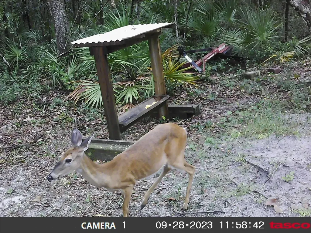 16274 NE 153rd Lane Fort Mc Coy FL 32134