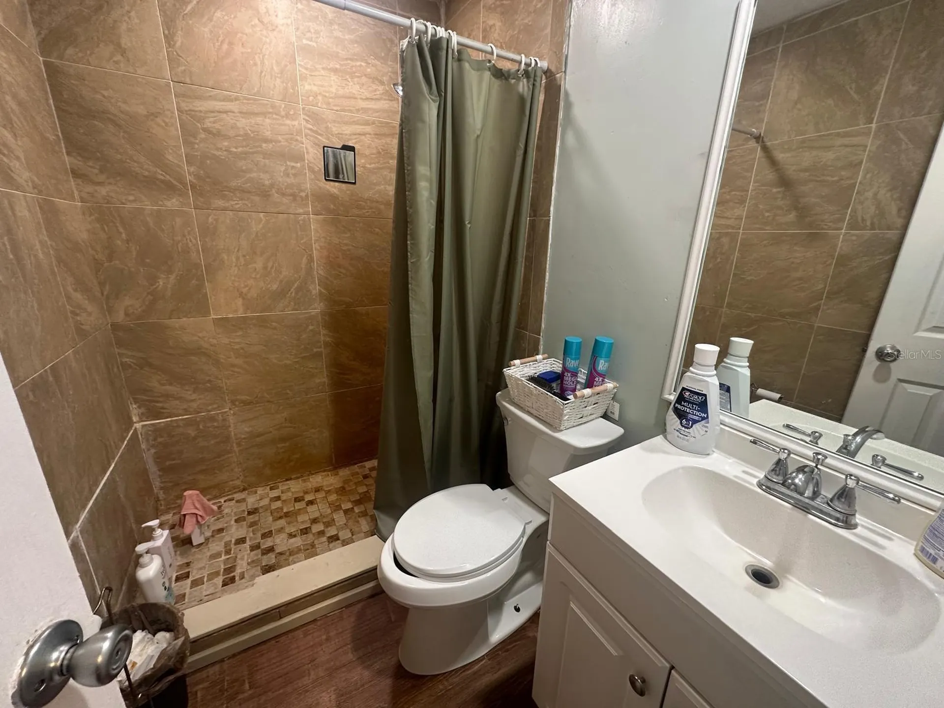 17042 Nature Trail Lutz FL 33558
