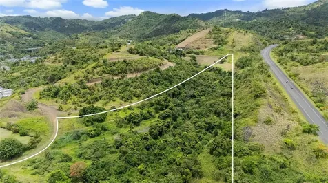 442 Urb. Valle Alto Avenue Cayey PR 00736