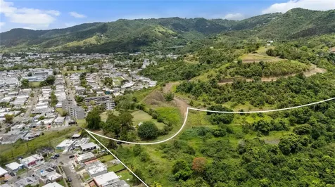 442 Urb. Valle Alto Avenue Cayey PR 00736