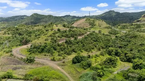 442 Urb. Valle Alto Avenue Cayey PR 00736