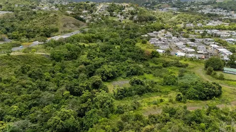 442 Urb. Valle Alto Avenue Cayey PR 00736