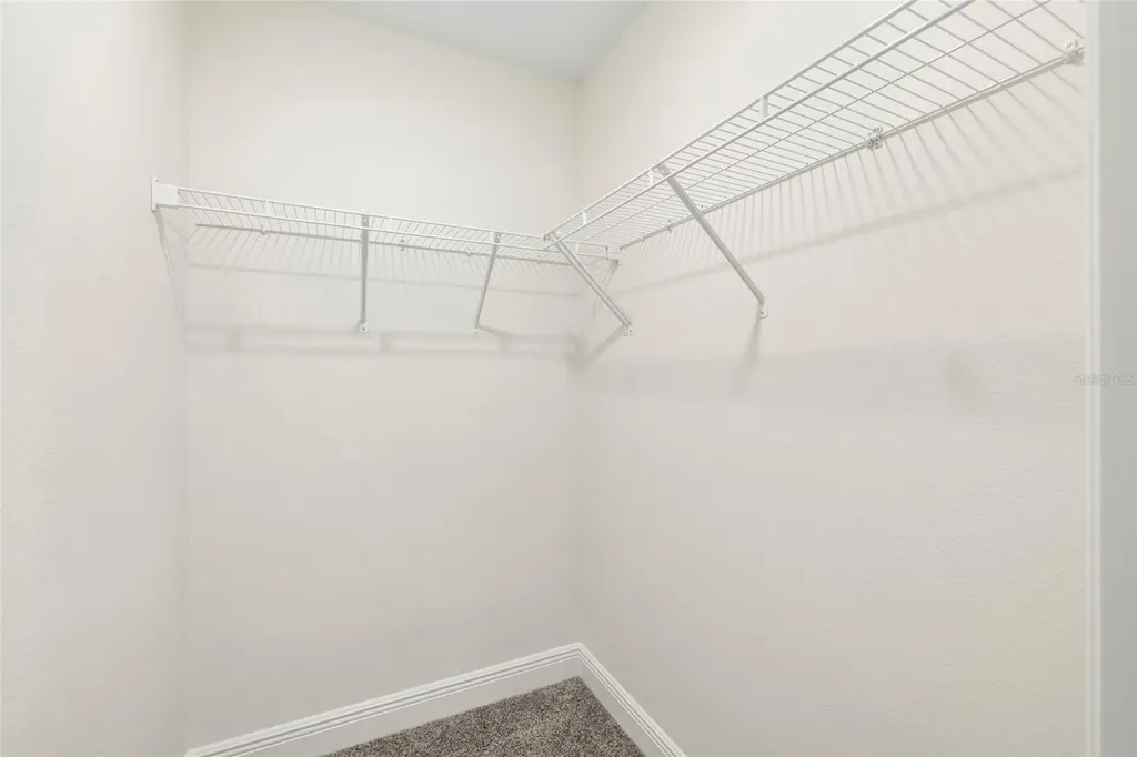 11641 Sweet Tangerine Lane Tampa FL 33626