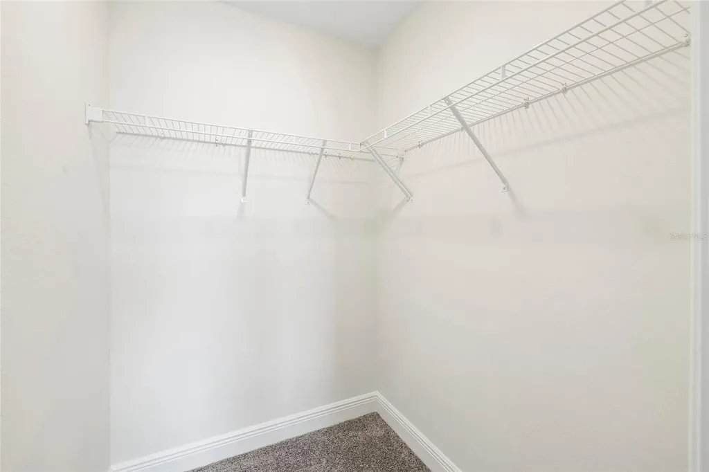11641 Sweet Tangerine Lane Tampa FL 33626