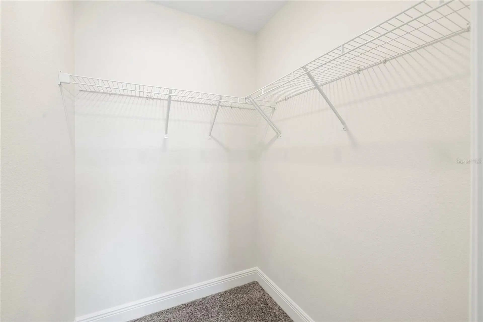 11641 Sweet Tangerine Lane Tampa FL 33626